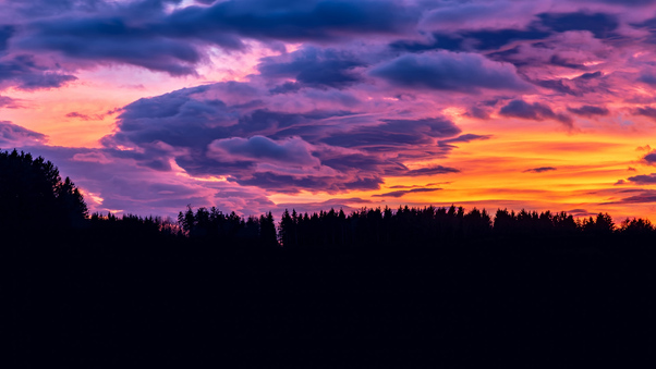 Sunset Clouds Forest 4k Wallpaper