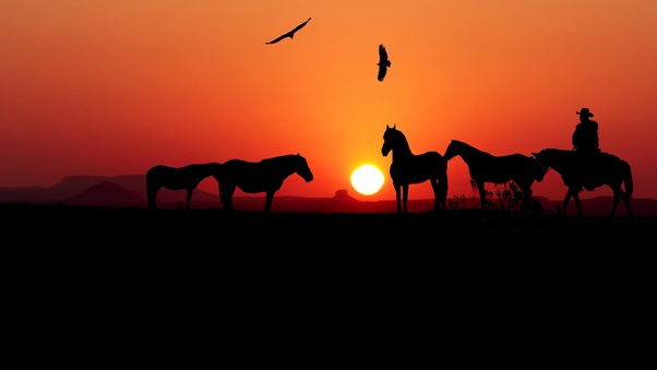 Sunset Horse Silhouette 4k Wallpaper
