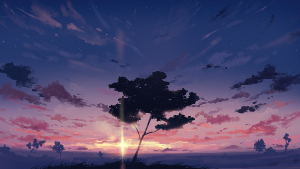 Sunset Sky Clouds Tree 4k Wallpaper