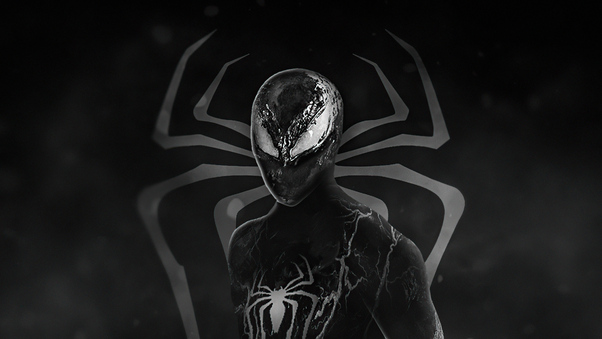 The Amazing Spider Man 3 VenomVerse 4k Wallpaper