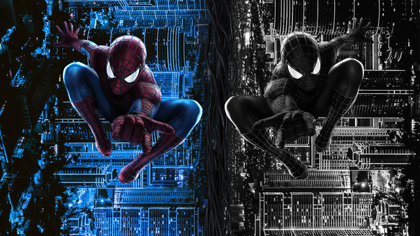 The Amazing Spider Man Vs Black Spiderman Wallpaper