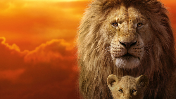 The Lion King 8k Wallpaper