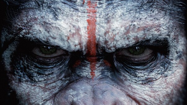 The Planet Of The Apes Wallpaper