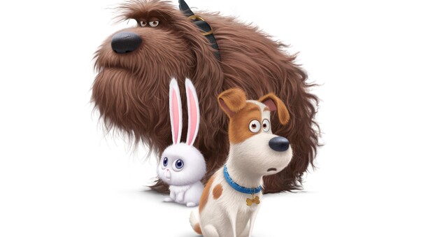 The Secrete Life of Pets Movie Dogs Wallpaper