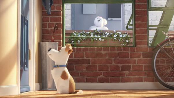 The Secrete Life of Pets Movie Main Character Wallpaper