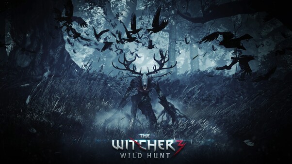 The Witcher 3 Wild Hunt Video Game Wallpaper