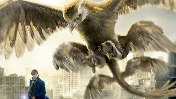 Thunderbird Fantastic Beasts And Where To Find Them Wallpaper