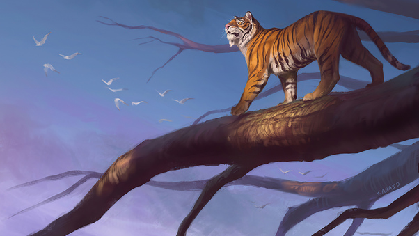 Tiger Branch Sunset 4k Wallpaper