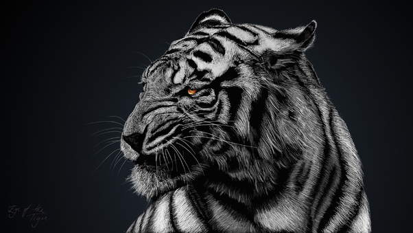 Tiger Glow Wallpaper