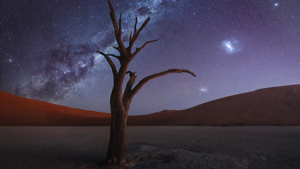 Tree Desert Milky Way 4k Wallpaper