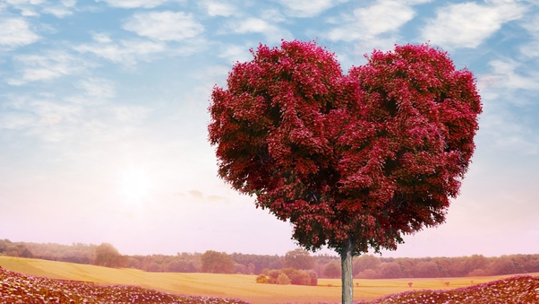 Tree Heart Wallpaper