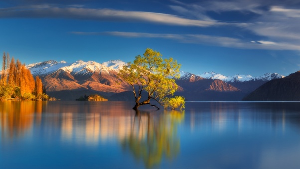 Tree In Center Of Lake Reflection In Water Wallpaper