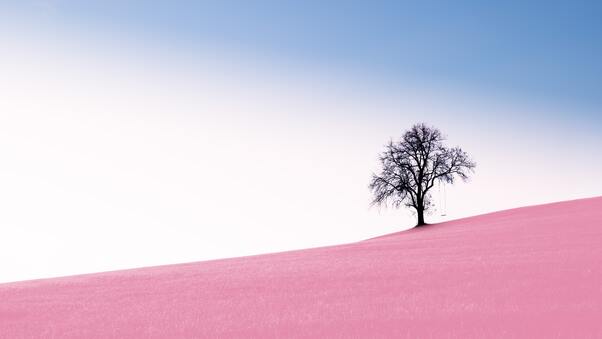 Tree Pink Desert 10k Wallpaper