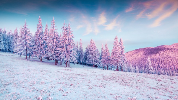Trees Pink Colorful Cold Hills Snow 5k Wallpaper