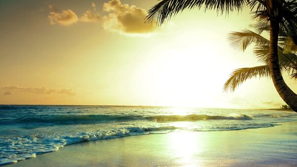 Tropical Beach Sunset 4k Wallpaper