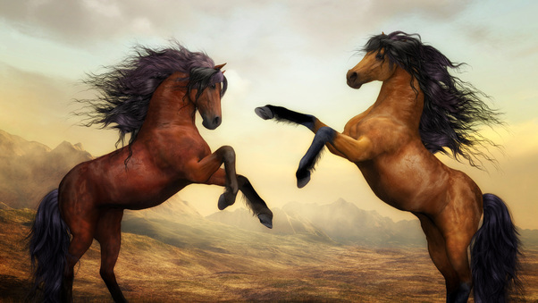Two Horses Dance 4k Wallpaper
