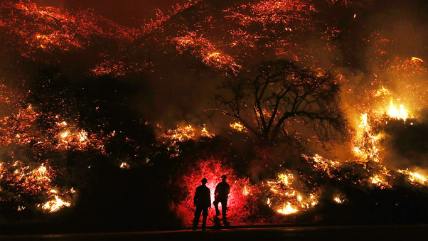 Two Man Standing In Front Of Forest Fire Wallpaper