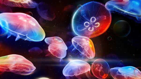 Underwater Jellyfishes Wallpaper