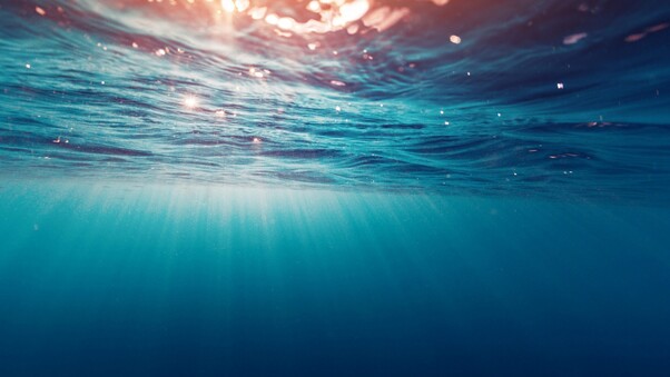 Underwater Sea Wallpaper