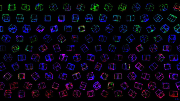 Vibrant Cubes Wallpaper