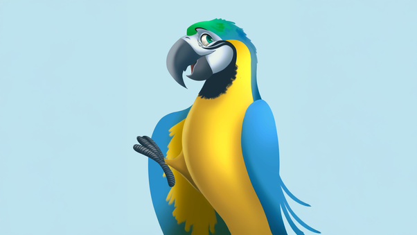 Vibrant Macaw 5k (3000x2000) Resolution Wallpaper