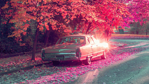 Vintage Car Parked Under Tree Covered By Flowers Wallpaper