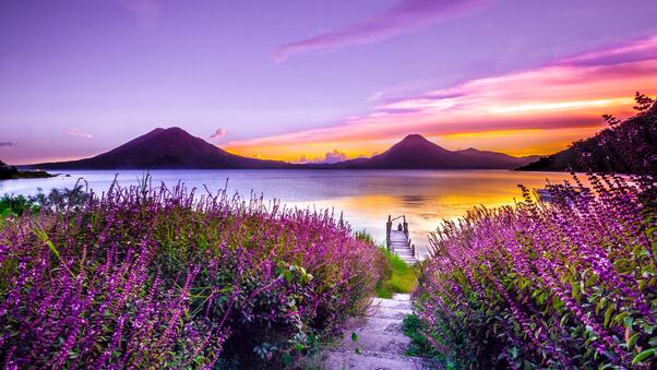 Volcano Sunset Flower Purple Dreamy Landscape 4k 5k Wallpaper