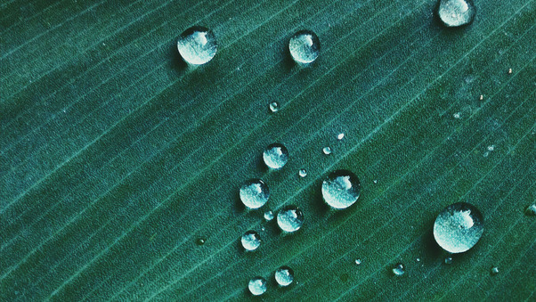 Water Drop On Green Textile Macro Wallpaper