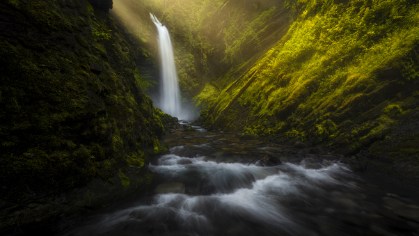 Waterfall Forest Morning Sun Beams 8k Wallpaper