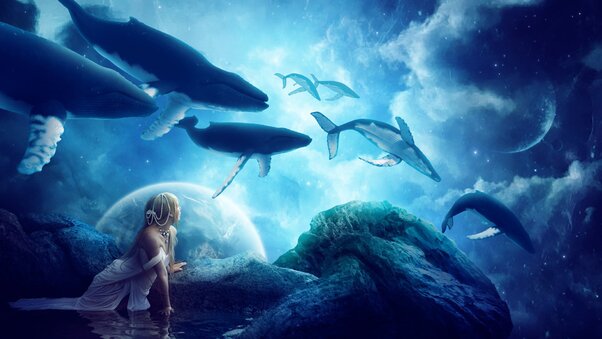 Whales Dream Wallpaper