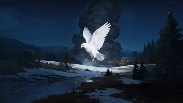 White Dove Wings Of Peace (1280x720) Resolution Wallpaper