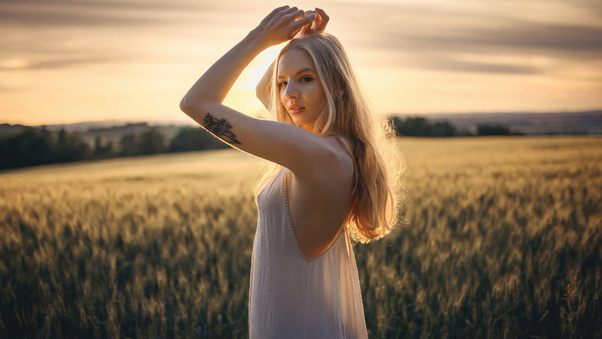 White Dress Charming Girl In Sun Drenched Fields Wallpaper