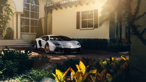 White Lamborghini Aventador Wallpaper