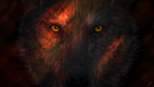 Wild Wolf Eyes Wallpaper