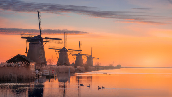 Windmill Village In Netherlands Wallpaper