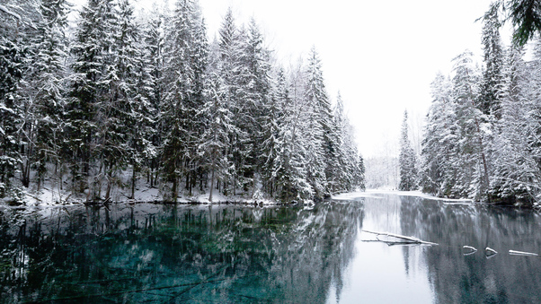 Winter Cold Lake Wallpaper