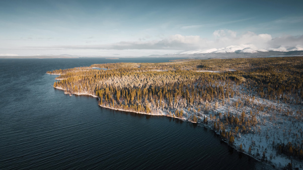 Winter Sea Trees Aerial View 5k Wallpaper