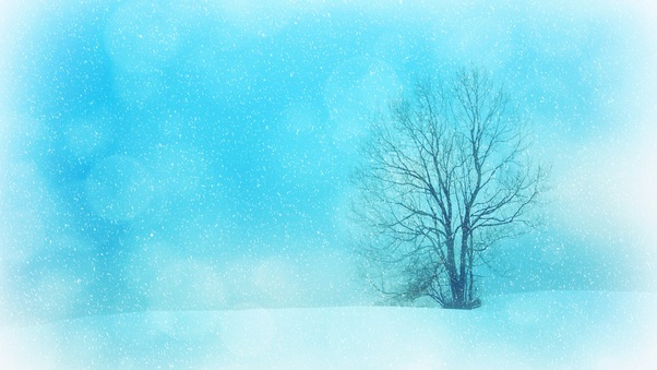 Winter Snowflakes Tree 4k Wallpaper