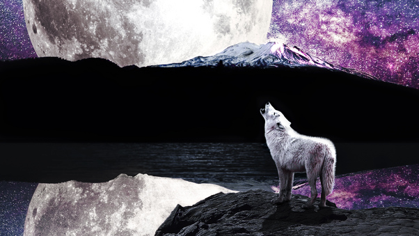 Wolf Moon River Wallpaper