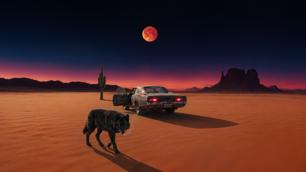 Wolf Walking Through Desert Alongwith Muscle Car (1336x768) Resolution Wallpaper