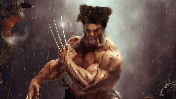 Wolverine 4kartwork Wallpaper
