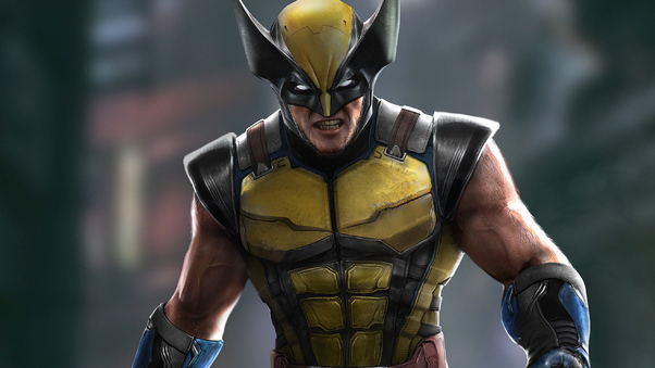 Wolverineart 2019 Wallpaper