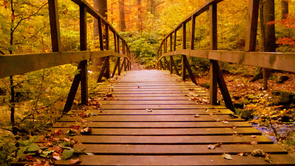 Wooden Bridge Forest Autumn Leaves Wallpaper
