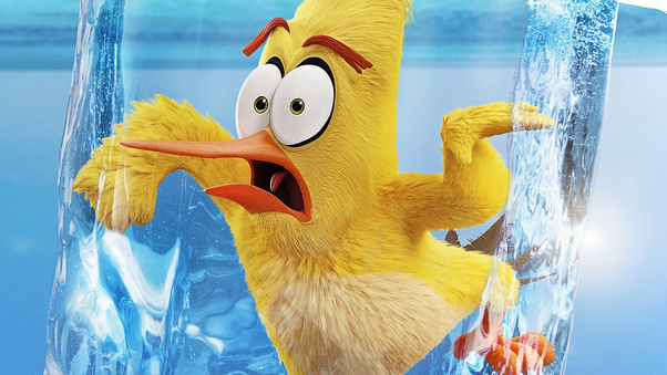 Yellow The Angry Birds Movie 2 2019 Wallpaper