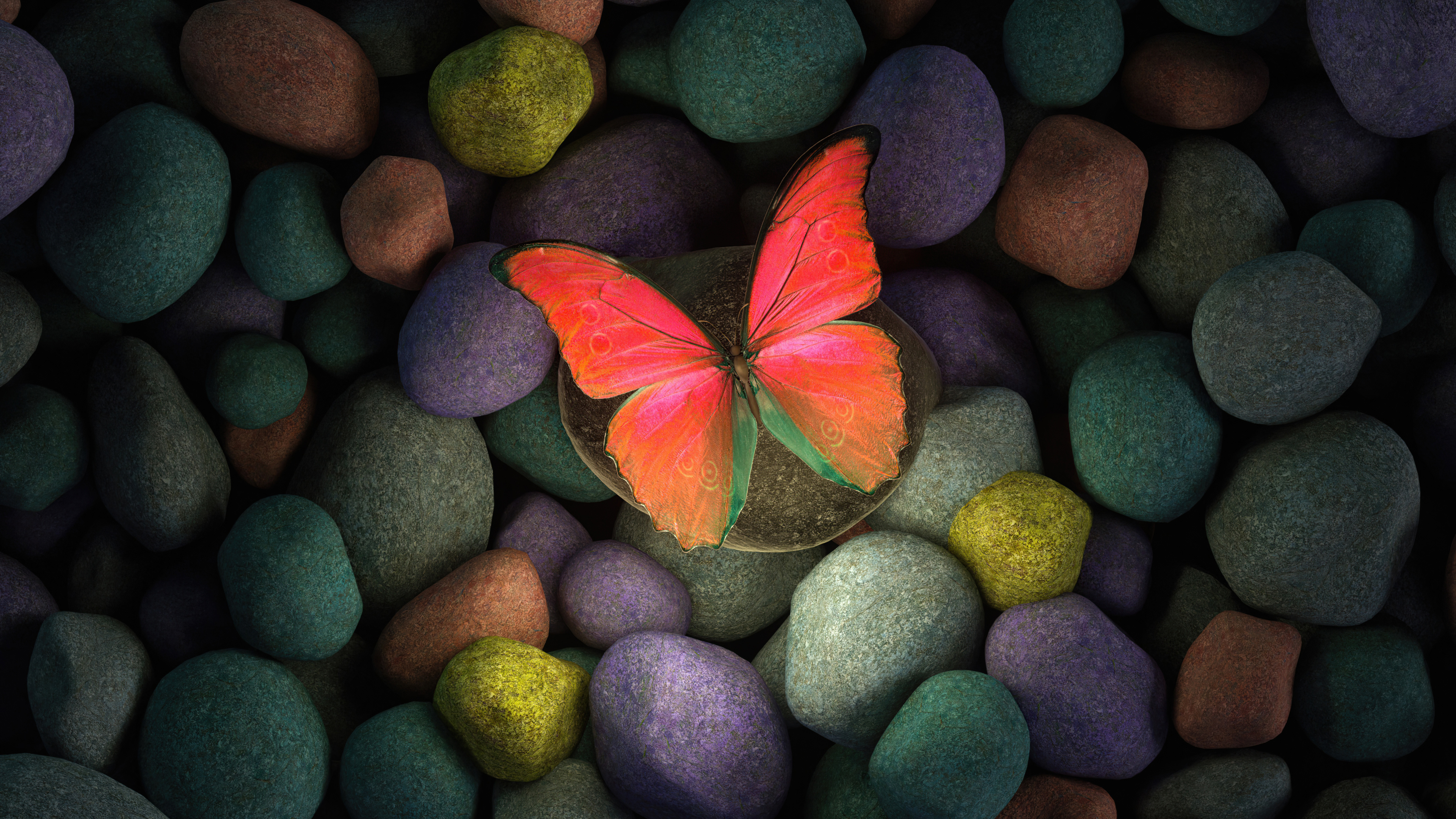 Butterfly On Rocks 4k, HD Artist, 4k Wallpapers, Images, Backgrounds,  Photos and Pictures