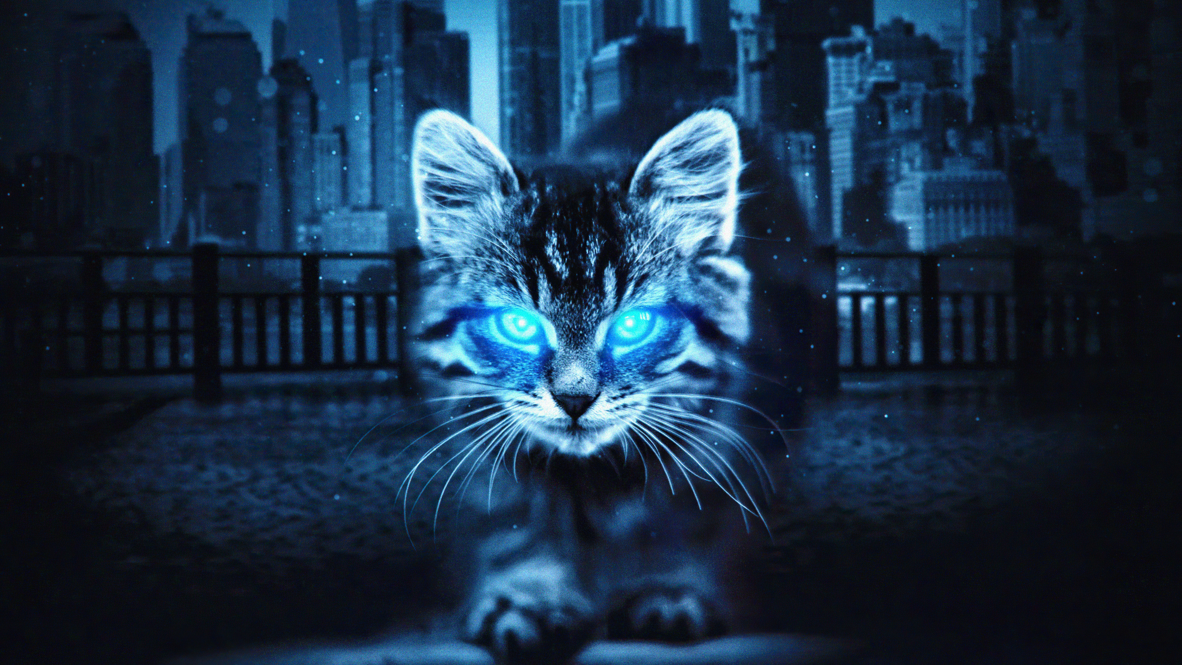 Cat Glowing Eyes 4k, HD Artist, 4k Wallpapers, Images, Backgrounds, Photos  and Pictures