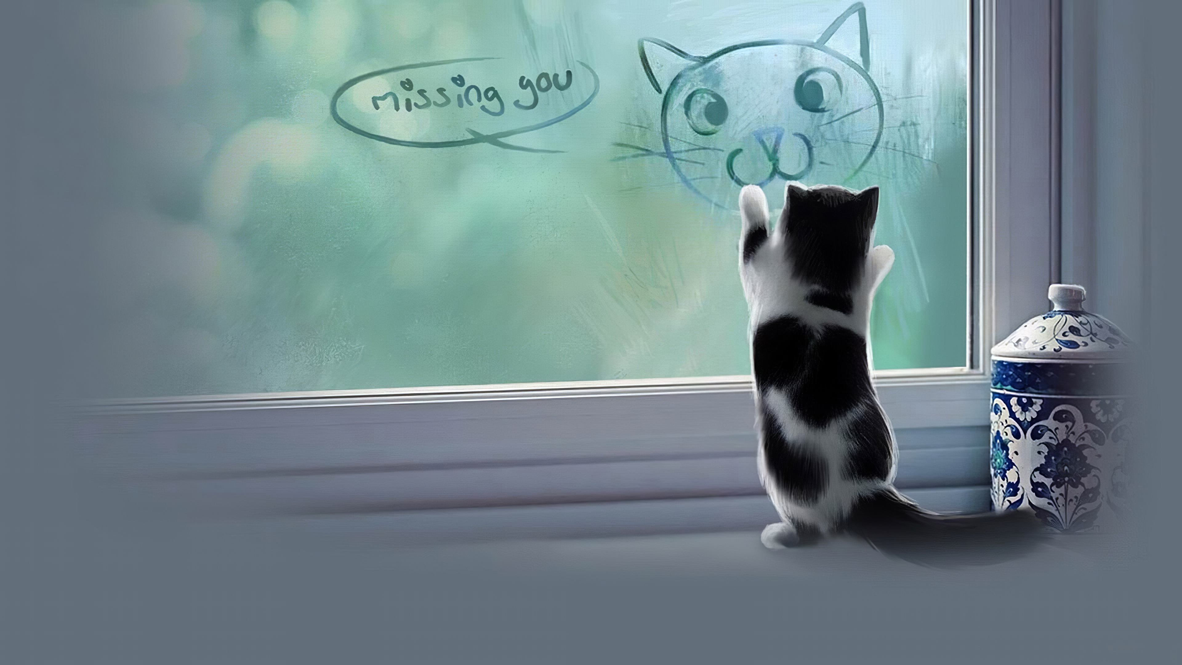 Cat Missing You, HD Animals, 4k Wallpapers, Images, Backgrounds, Photos and  Pictures