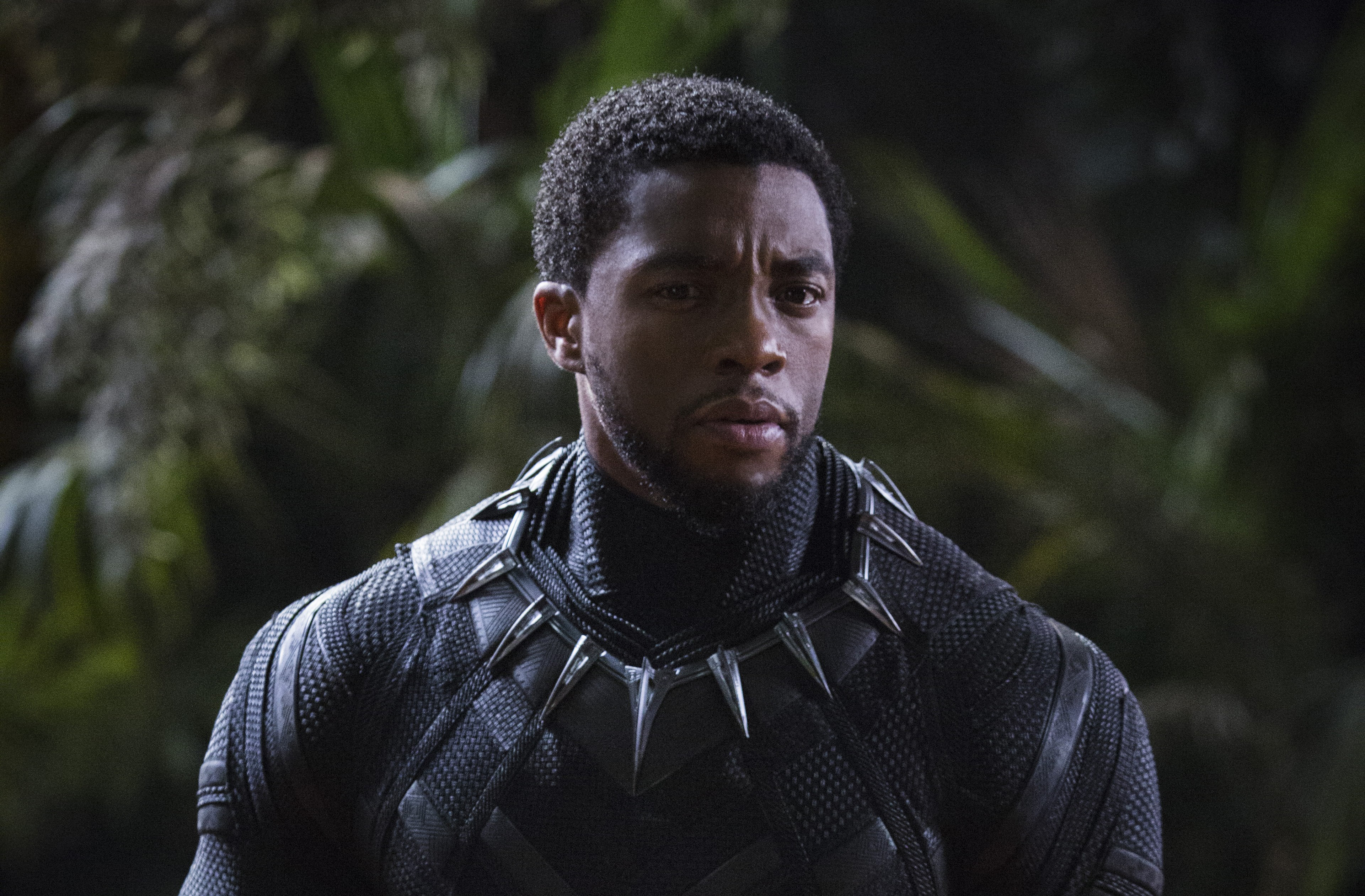 Chadwick Boseman Black Panther 4k 2018 Hd Movies 4k Wallpapers Images Backgrounds Photos And Pictures