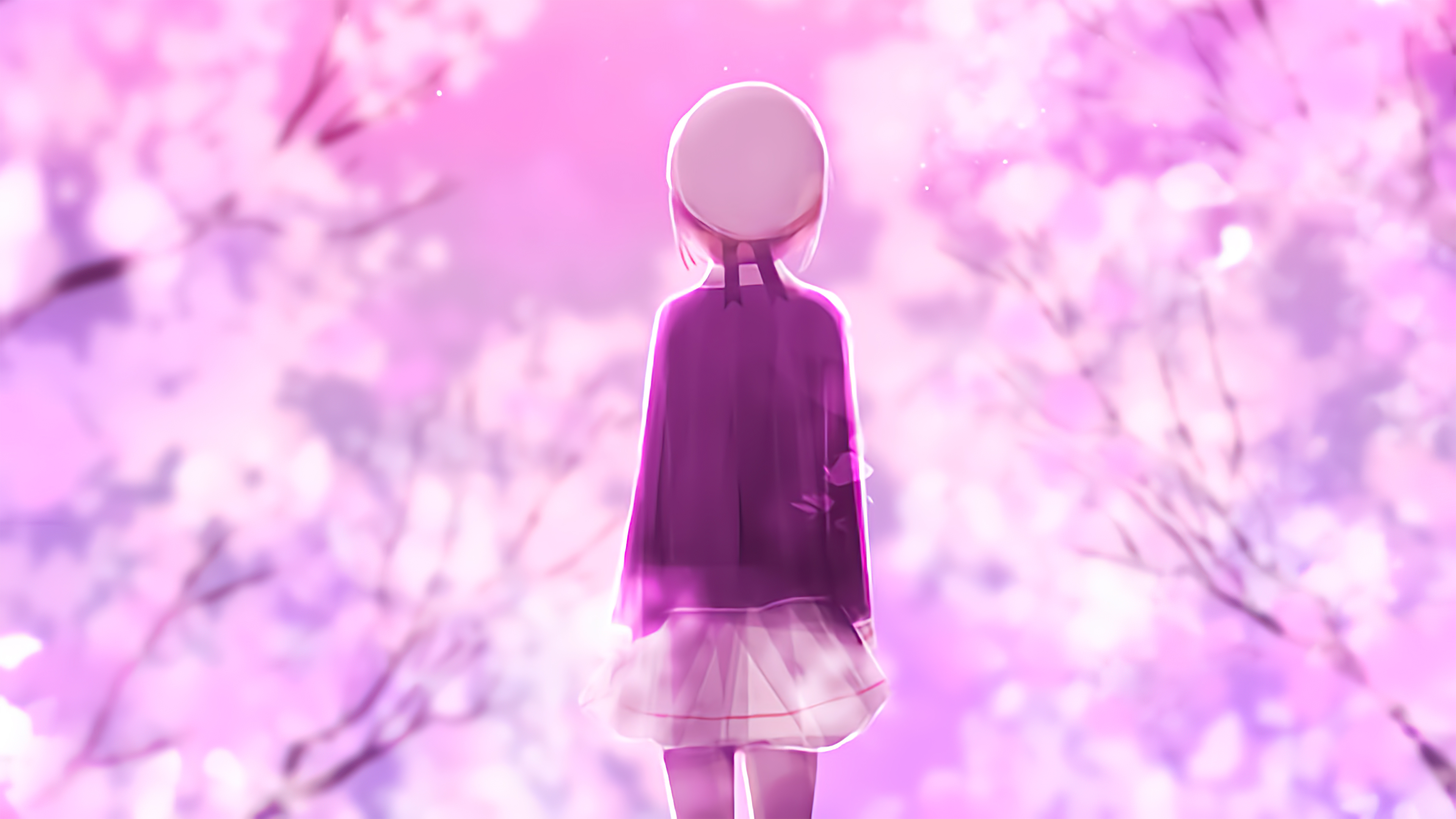 Cherry Blossom Walk, HD Anime, 4k Wallpapers, Images, Backgrounds, Photos  and Pictures