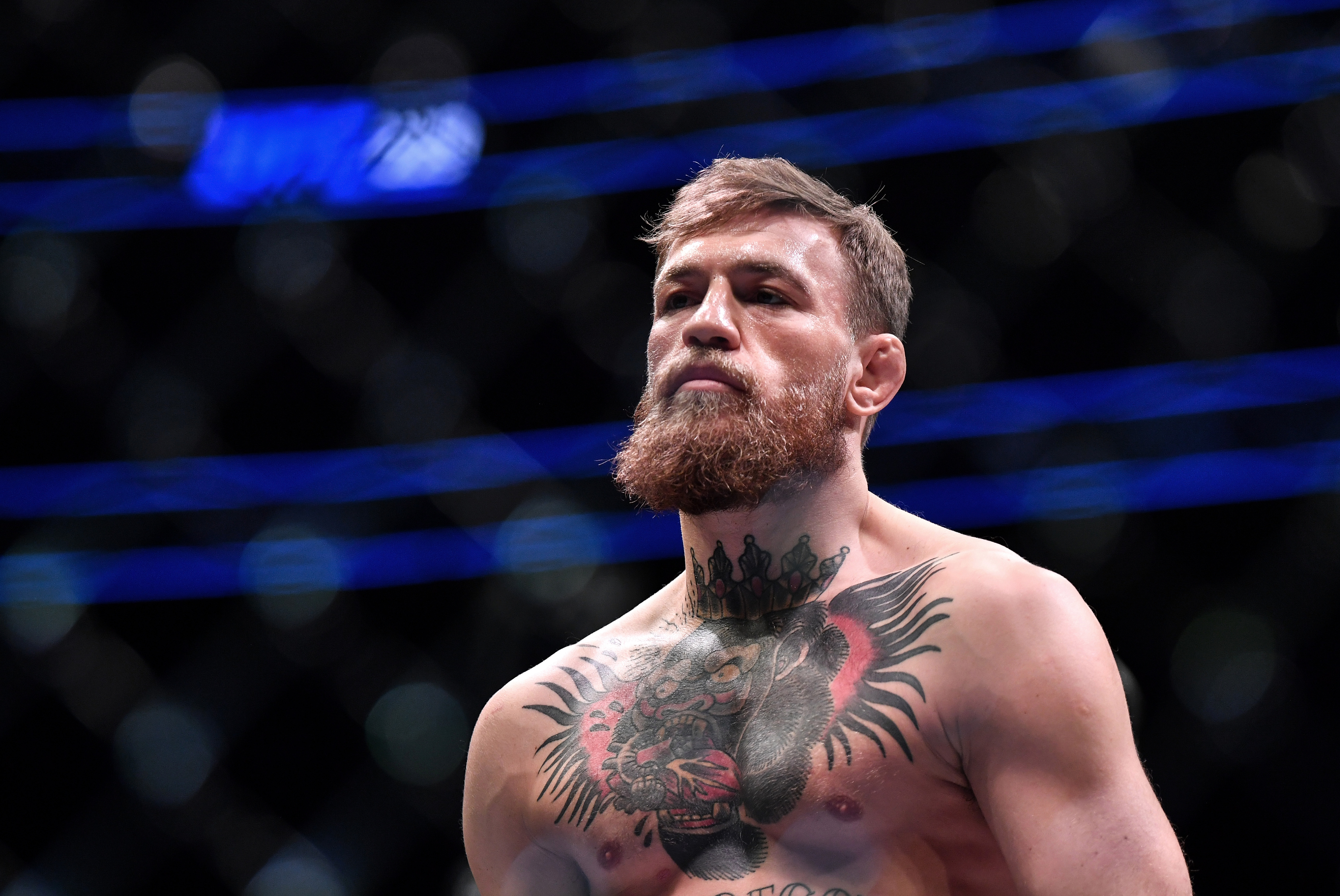 Conor McGregor 5k, HD Sports, 4k Wallpapers, Images, Backgrounds, Photos  and Pictures